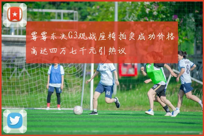 霉霉东决G3观战座椅拍卖成功价格高达四万七千元引热议