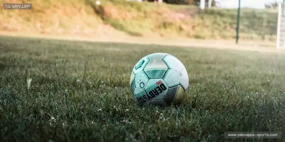 📺 高清直播，实时互动！不错过每一个心跳瞬间！